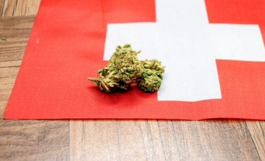 la suisse va légaliser le cannabis